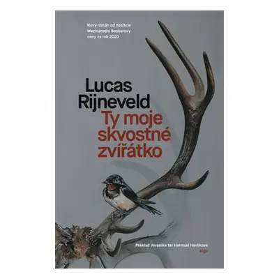 Ty moje skvostné zvířátko - Marieke Lucas Rijneveld