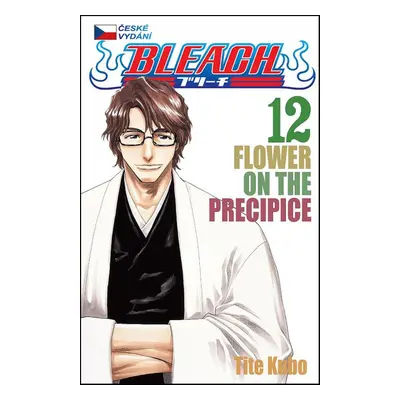 Bleach 12 - Tite Kubo