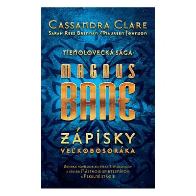 Magnus Bane – Zápisky veľkobosoráka - Sarah Rees Brennanová