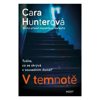 V temnotě - Cara Hunterová