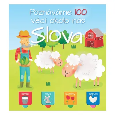 Poznáváme 100 věcí okolo nás Slova - Autor Neuveden