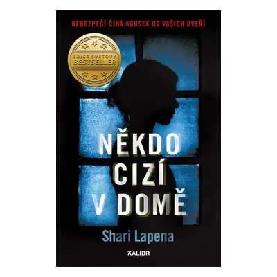 Někdo cizí v domě - Shari Lapena