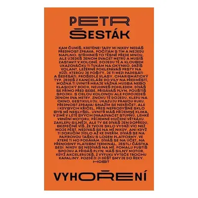 Vyhoření - Petr Šesták