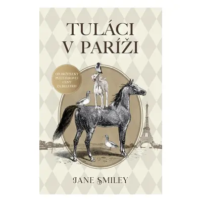 Tuláci v Paríži - Jane Smiley