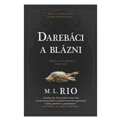 Darebáci a blázni - M.L. Rio