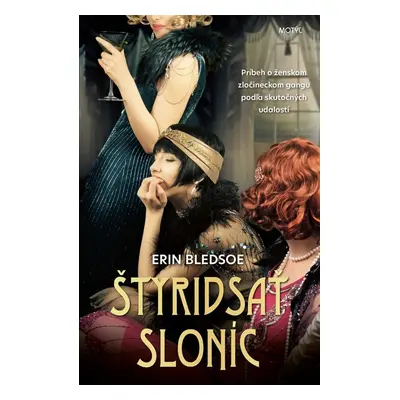 Štyridsať sloníc - Erin Bledsoe