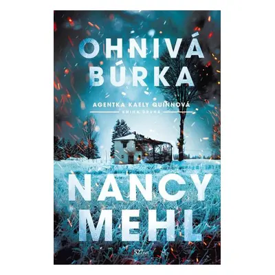 Ohnivá búrka - duplicita - Nancy Mehl