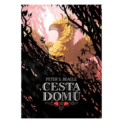 Cesta domů - Peter S. Beagle