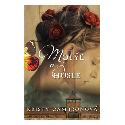 Motýľ a husle - Kristy Cambron