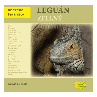 Leguán zelený - Nataša Velenská