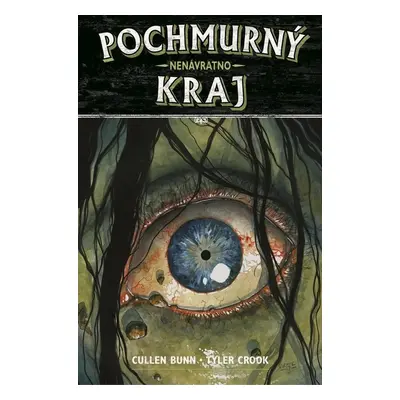 Pochmurný kraj 8 Nenávratno - Cullen Bunn