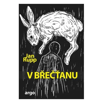 V břečťanu - Jan Rupp