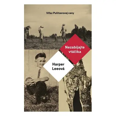 Nezabíjajte vtáčika - Harper Lee