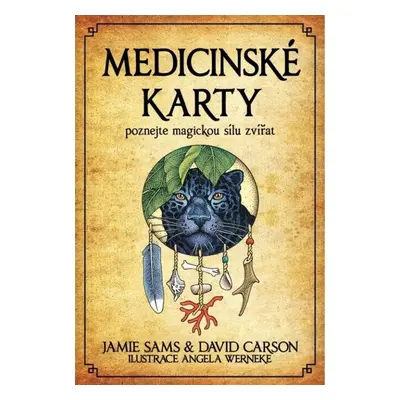 Medicinské karty - Jamie Sams