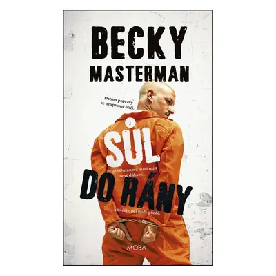 Sůl do rány - Becky Masterman