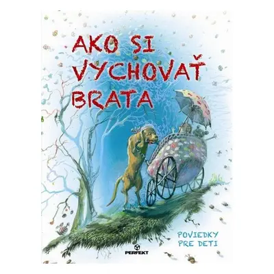 Ako si vychovať brata - Autor Neuveden