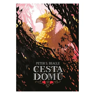 Cesta domů - Peter S. Beagle