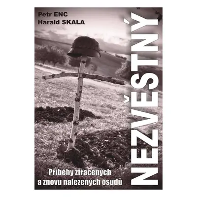 Nezvěstný - Petr Enc