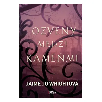 Ozveny medzi kameňmi - Jaime Jo Wright