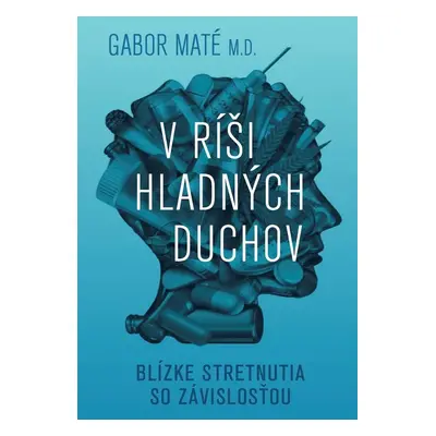 V ríši hladných duchov - Daniel Maté