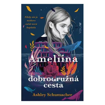 Ameliina dobrodružná cesta - Ashley Schumacher