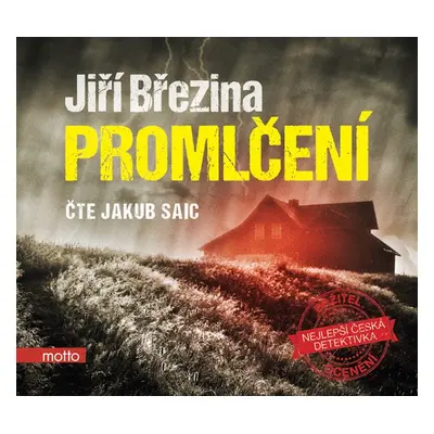 Promlčení - Jiří Březina