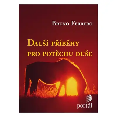 Další příběhy pro potěchu duše - Autor Neuveden