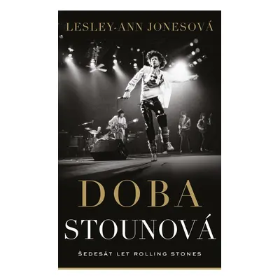 Doba stounová - Lesley-Ann Jones