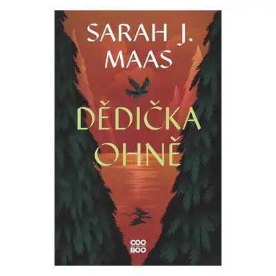 Dědička ohně - Sarah J. Maas