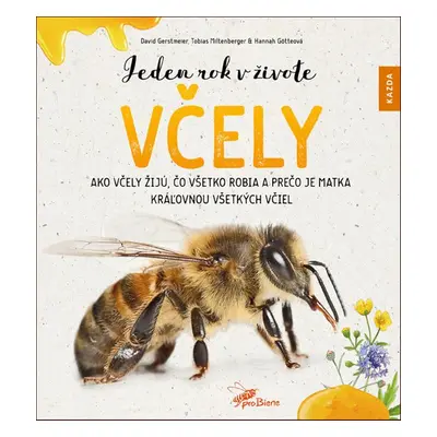 Jeden rok v živote včely - Hannah Götteová