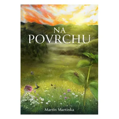 Na povrchu - Martin Martinka