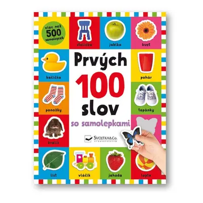 Prvých 100 slov so samolepkami - Robyn Newton