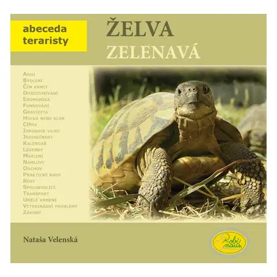 Želva zelenavá - Nataša Velenská