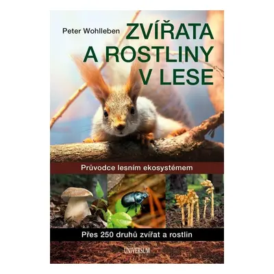 Zvířata a rostliny v lese - MUDr. Petr Wohl MUDr.