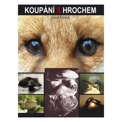 Koupání s hrochem - Josef Ptáček