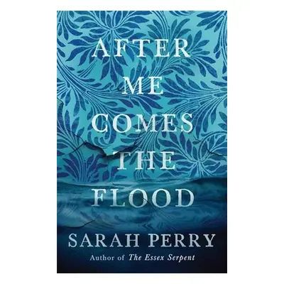 After Me Comes the Flood - Sarah Perry