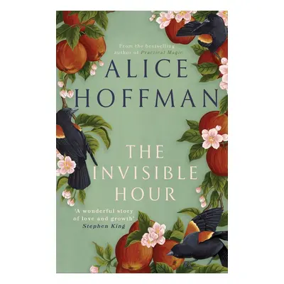 The Invisible Hour - Alice Hoffman