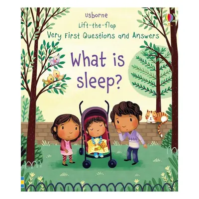 Very First Lift-the-Flap Questions & Answers What is Sleep? - Katie Daynes