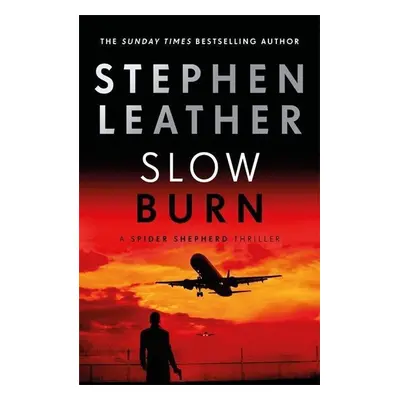 Slow Burn - Stephen Leather