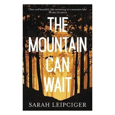 The Mountain Can Wait - Sarah Leipciger