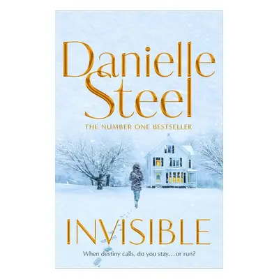 Invisible - Danielle Steel