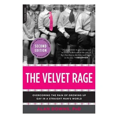 The Velvet Rage - Alan Downs