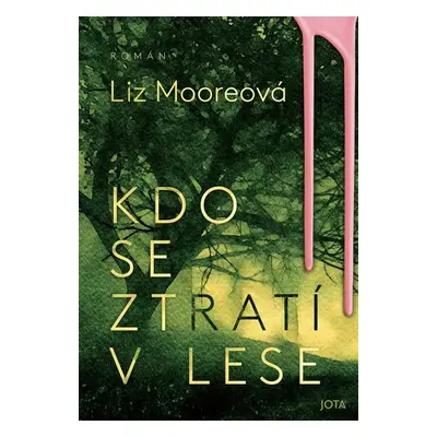 Kdo se ztratí v lese - Liz Moore