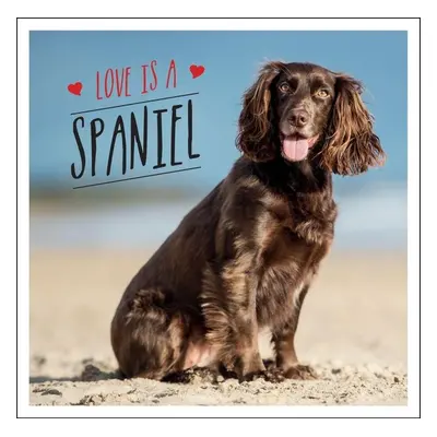 Love is a Spaniel - Charlie Ellis