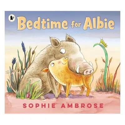 Bedtime for Albie - Sophie Ambrose