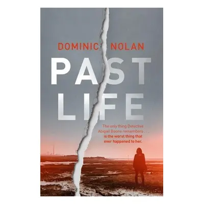 Past Life - Dominic Nolan