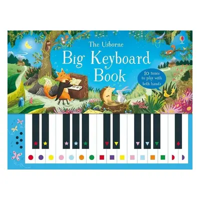 Big Keyboard Book - Sam Taplin