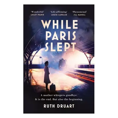 While Paris Slept - Ruth Druart