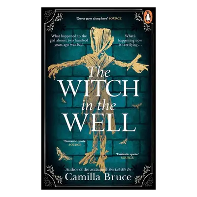 The Witch in the Well - Camilla Bruce