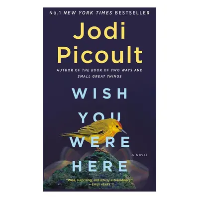 Wish You Were Here - Jodi Picoult